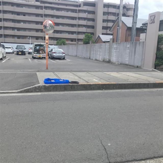 サンフラワー栗林