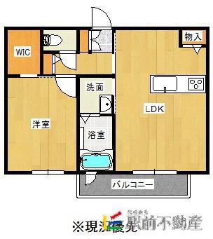 メゾン・ド・アマルフィ II棟(1LDK/3階)の間取り写真
