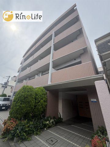コンフォール平野