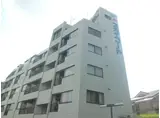 スカイコート西川口第6