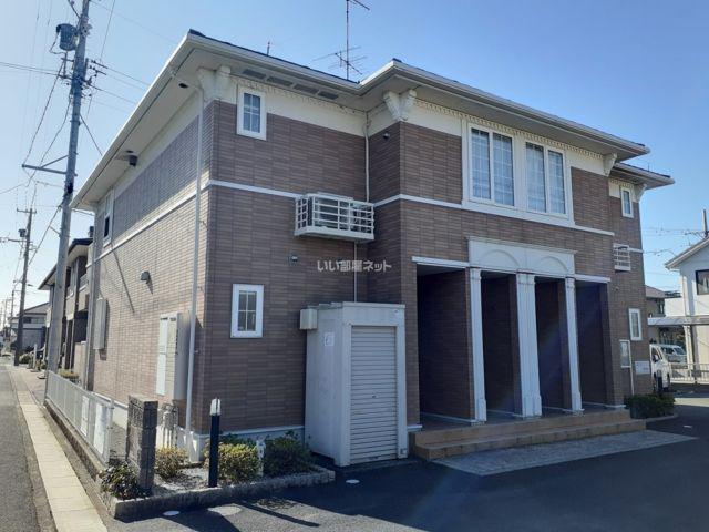 アイビ-