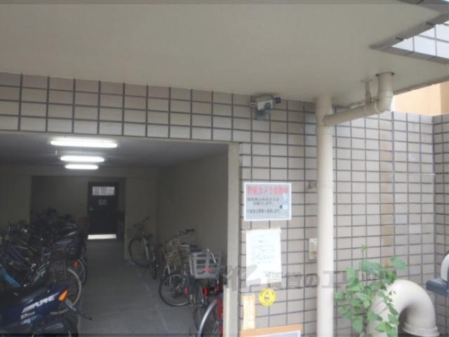 パインフィールド桂