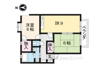 キャピタルマーサー(2LDK/1階)の間取り写真