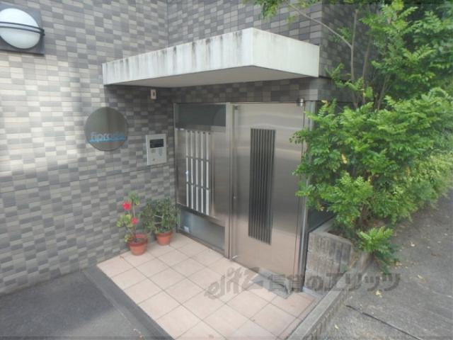 フィップロード