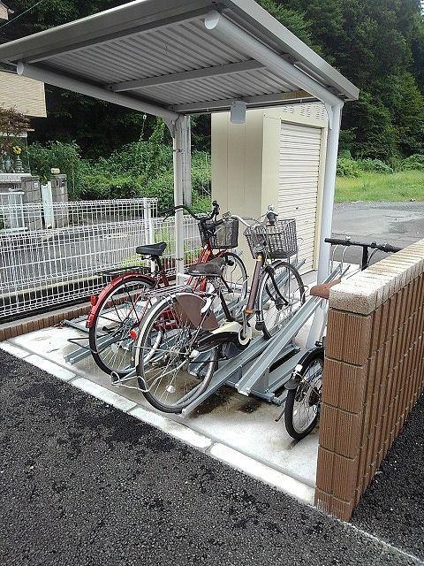 プラシードアルバV