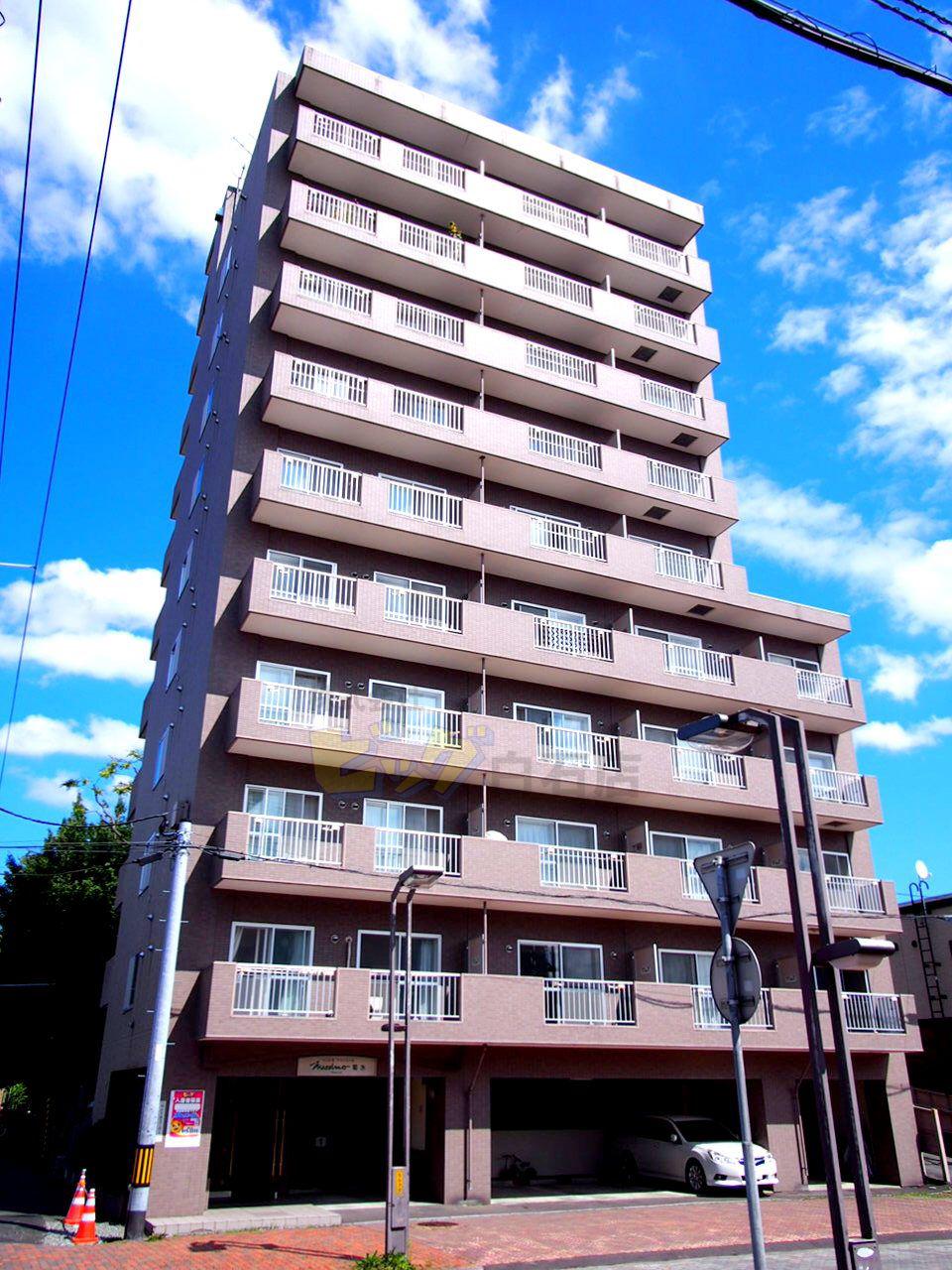 マッシモフェミニール菊水