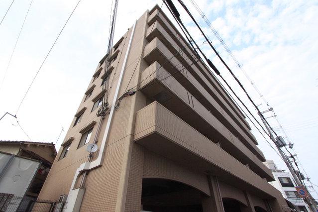 プリムローズタカダ