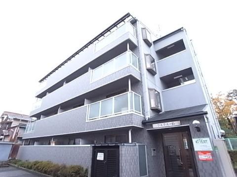 フルブルーム