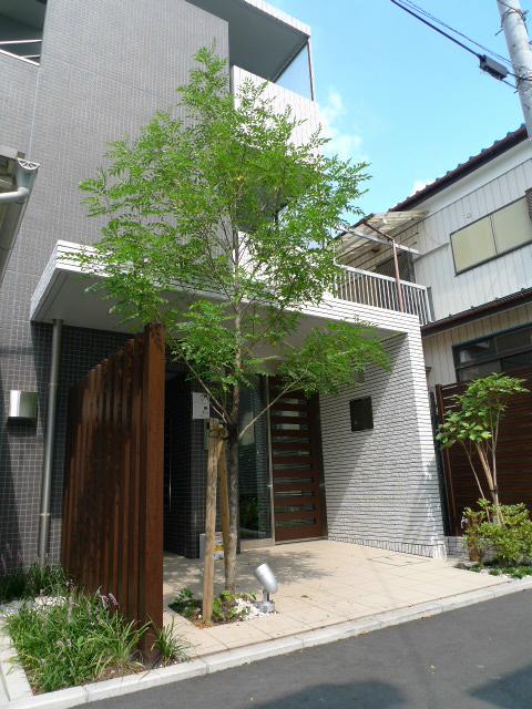 ROOT WHITE Ⅲ