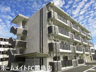 BASIC B.L.D 隼人
