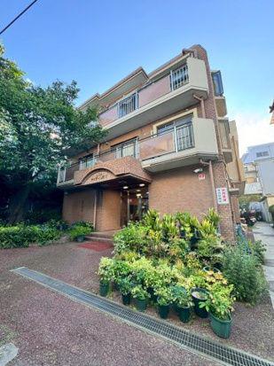 ドゥマール市川