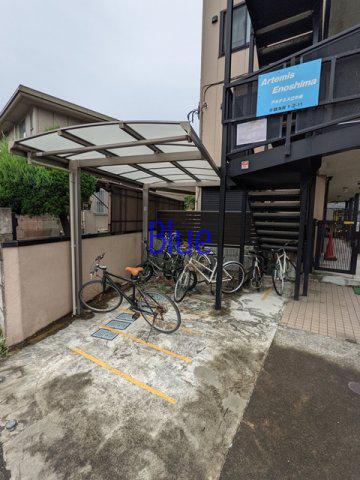 アルテミス江の島