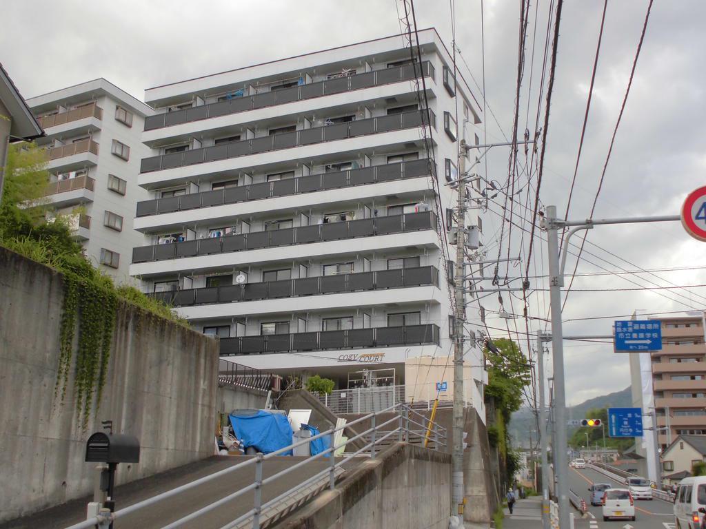 コージーコート
