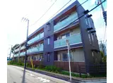 ステラ美光