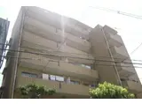 レクシア蒲生