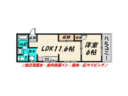 瀧ハイツ/(1LDK/3階)の間取り写真