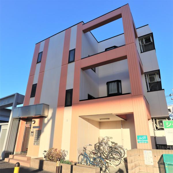 シャテロイワサキ