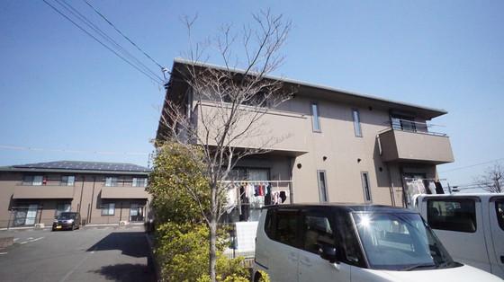 ハーモネストD