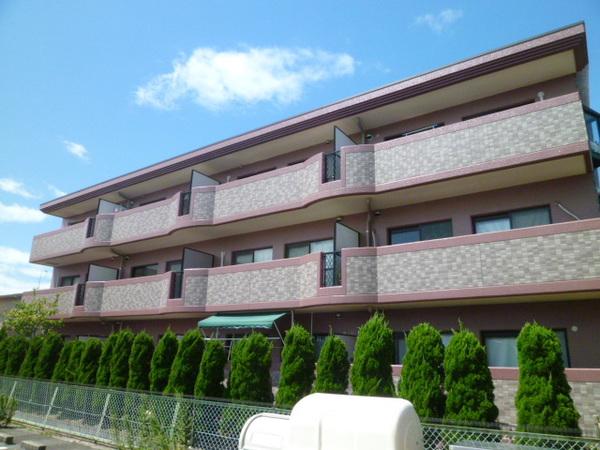 アルファビア池内