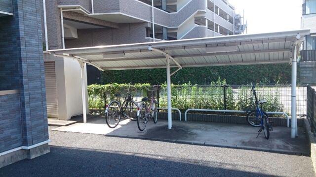 クレメント椿