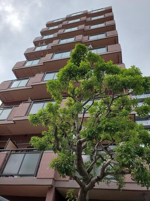セザール第3川崎