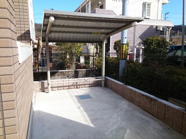 カレンデュラ
