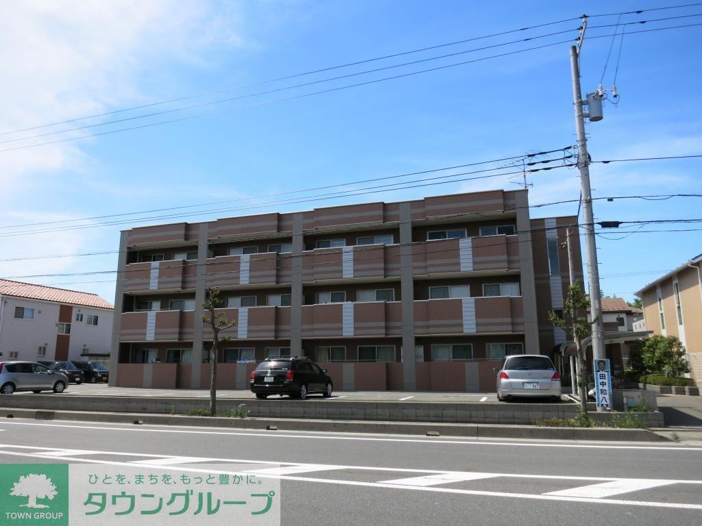 セレブリティーY