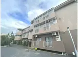 アルシオネ若葉