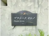 プラシードセレノ