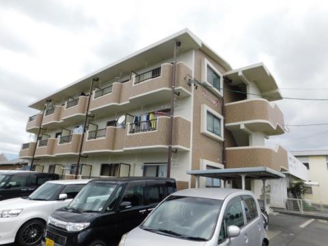 マンションやまももの木
