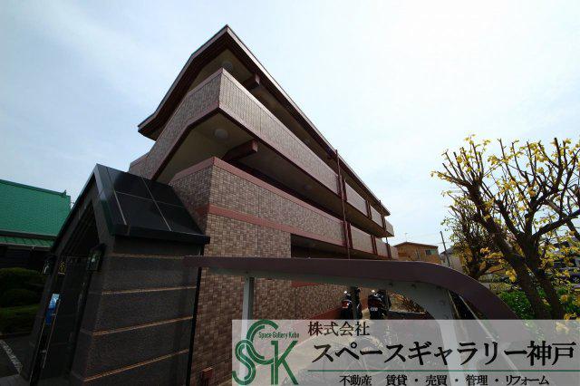 アルファビア池内