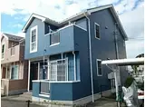 ピュアサンフラワーB