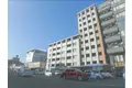 パインフィールド五条