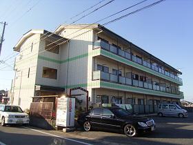 ロフティ津市場
