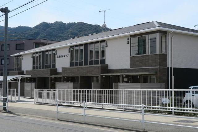 若竹ソフィア
