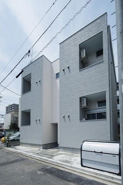 IVY菊井