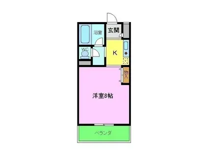 カーサ寺池(1K/3階)の間取り写真