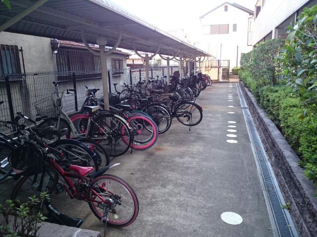 ブランドール板原