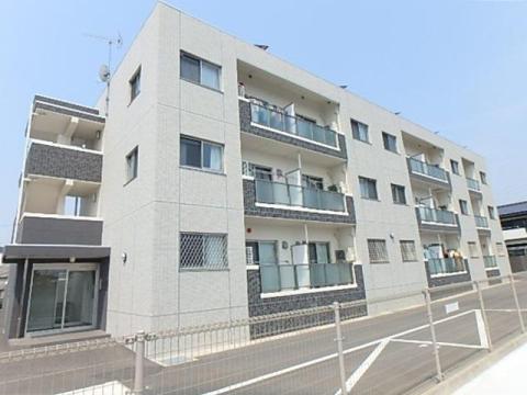 BELL TREE初生