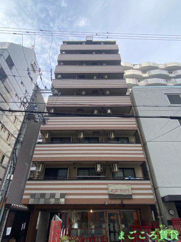 シングルウエスト