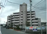 セルサス和泉