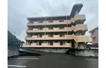 グレースコート