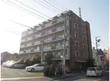 コリンシア市川
