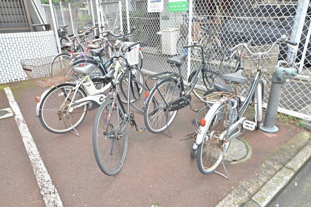 PRATIQUE SHINMARUKO