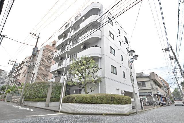 PRATIQUE SHINMARUKO