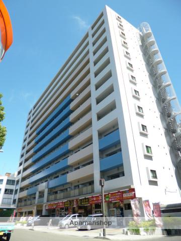 パークサイド加治屋町(1DK/8階)