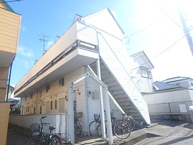 ロフティ・オリーブNO2