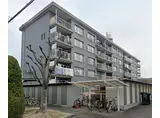 パナソニック郡津団地11号棟