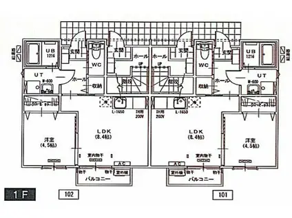ルチアーナ(1LDK/1階)の間取り写真