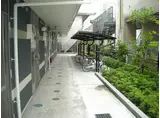 レオネクストコスモス